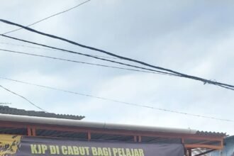 IMG 20250311 WA0259