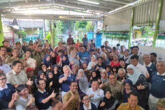 IMG 20250311 WA0313