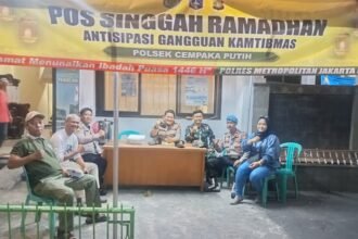 IMG 20250312 WA0008