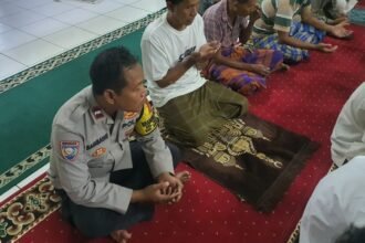 IMG 20250312 WA0033