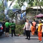 IMG 20250312 WA0156