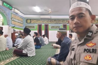 IMG 20250312 WA0208