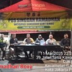IMG 20250312 WA0246