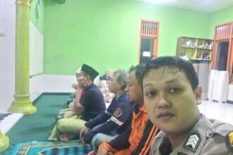 IMG 20250313 WA0041