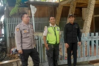 IMG 20250313 WA0047