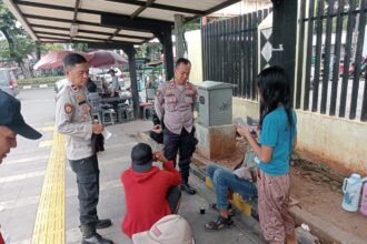 IMG 20250313 WA0129