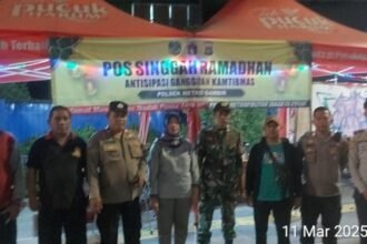 IMG 20250313 WA0200