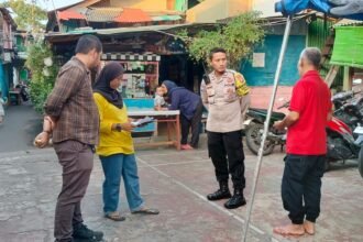 IMG 20250313 WA0233