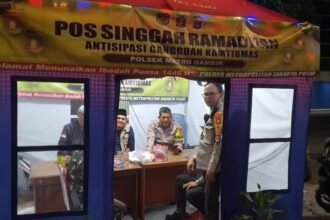 IMG 20250314 WA0213