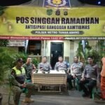 IMG 20250314 WA0218