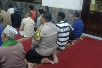 IMG 20250315 WA0231