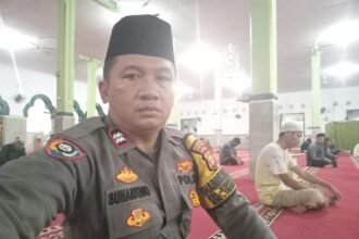 IMG 20250315 WA0237