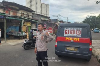 IMG 20250315 WA0241