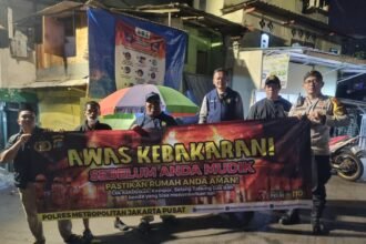 IMG 20250315 WA0250