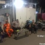 IMG 20250315 WA0302