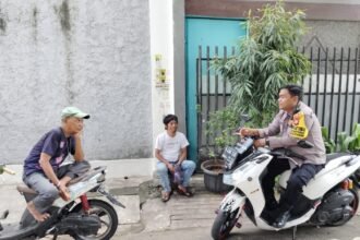 IMG 20250315 WA0399