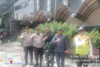 IMG 20250316 WA0214