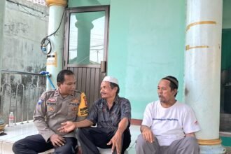 IMG 20250316 WA0241