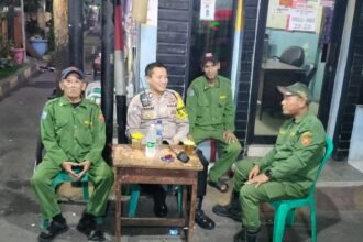 IMG 20250317 WA0245