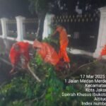 IMG 20250318 WA0039