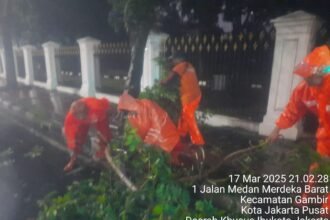 IMG 20250318 WA0039