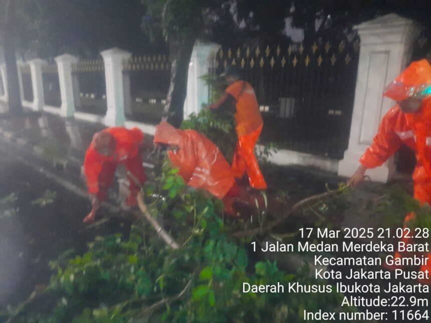 IMG 20250318 WA0039