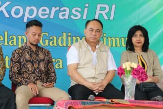 IMG 20250318 WA0165