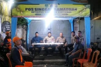 IMG 20250319 WA0085