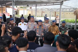 IMG 20250319 WA0191