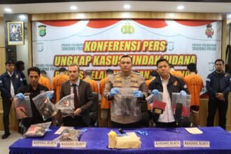 IMG 20250321 WA0135