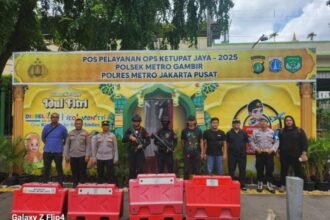 IMG 20250323 WA0223