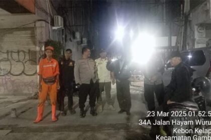 IMG 20250323 WA0229