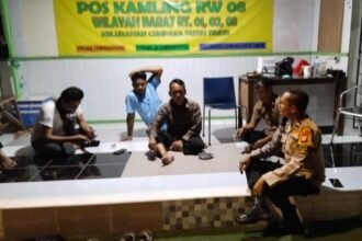 IMG 20250324 WA0181