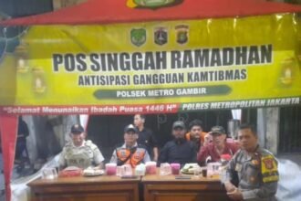 IMG 20250324 WA0203