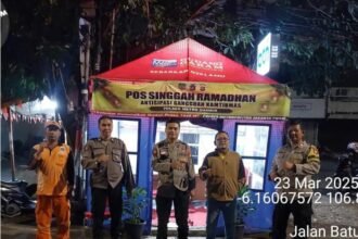 IMG 20250324 WA0206
