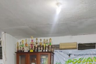 IMG 20250327 WA0041