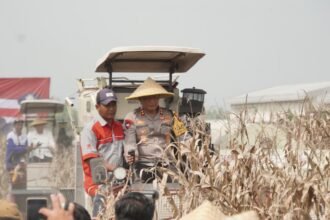 IMG 20250327 WA0153