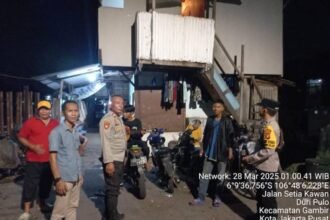 IMG 20250328 WA0162