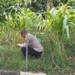 IMG 20250330 WA0149
