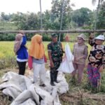 IMG 20250404 WA0196