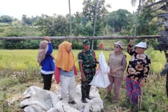 IMG 20250404 WA0196
