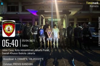 IMG 20250405 WA0031