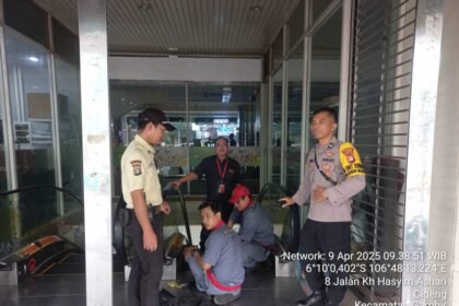 IMG 20250411 WA0029