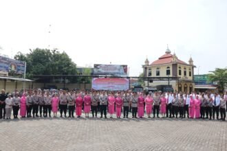 IMG 20250411 WA0241