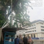 IMG 20250413 WA0233