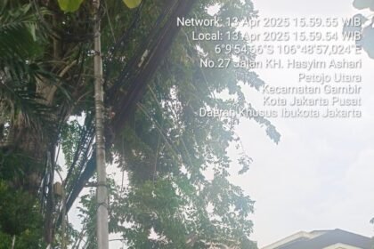 IMG 20250413 WA0233