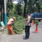 IMG 20250414 WA0239