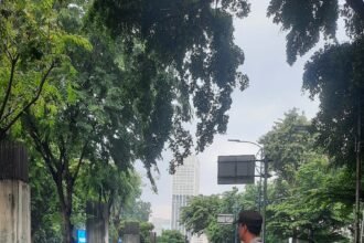 IMG 20250415 WA0209