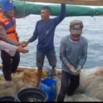 IMG 20250416 WA0101