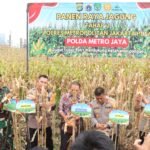 IMG 20250417 WA0276